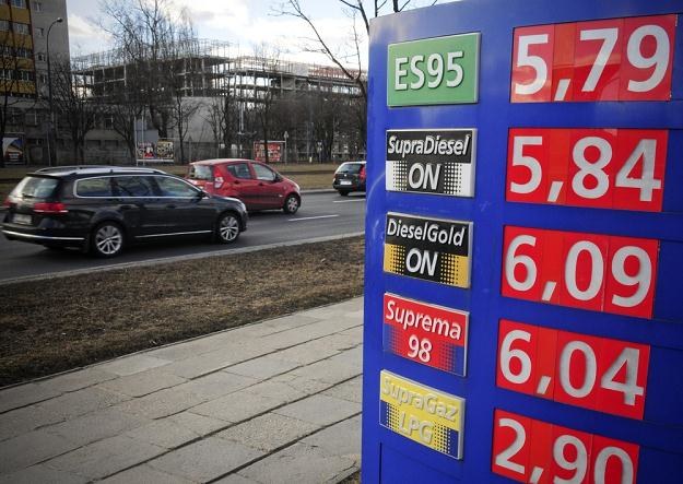 Na istotne obniżki paliw w tym roku nie powinniśmy się nastawiać, fot. Włodzimierz Wasyluk /Reporter