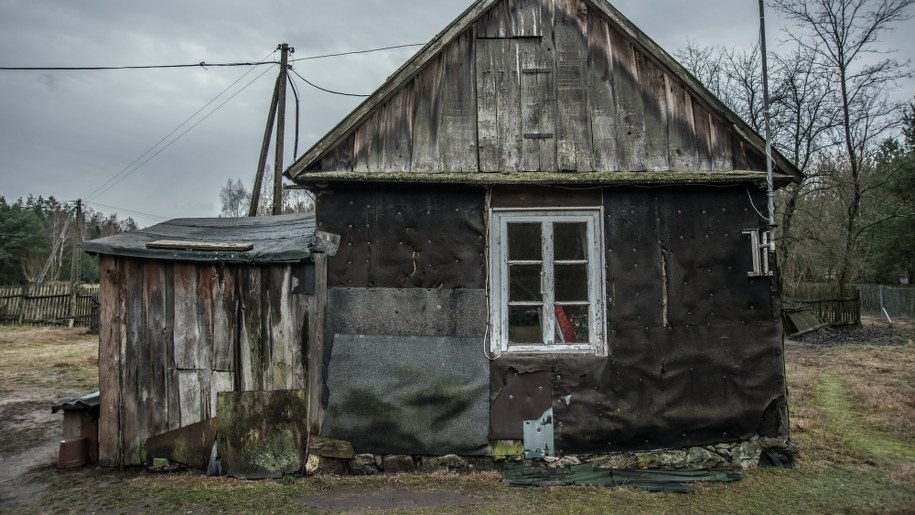 ​Na jagody - to nie bajka, to prawdziwa historia /Piotr Woźniakiewicz / ArsLumen.pl  /Materiały prasowe