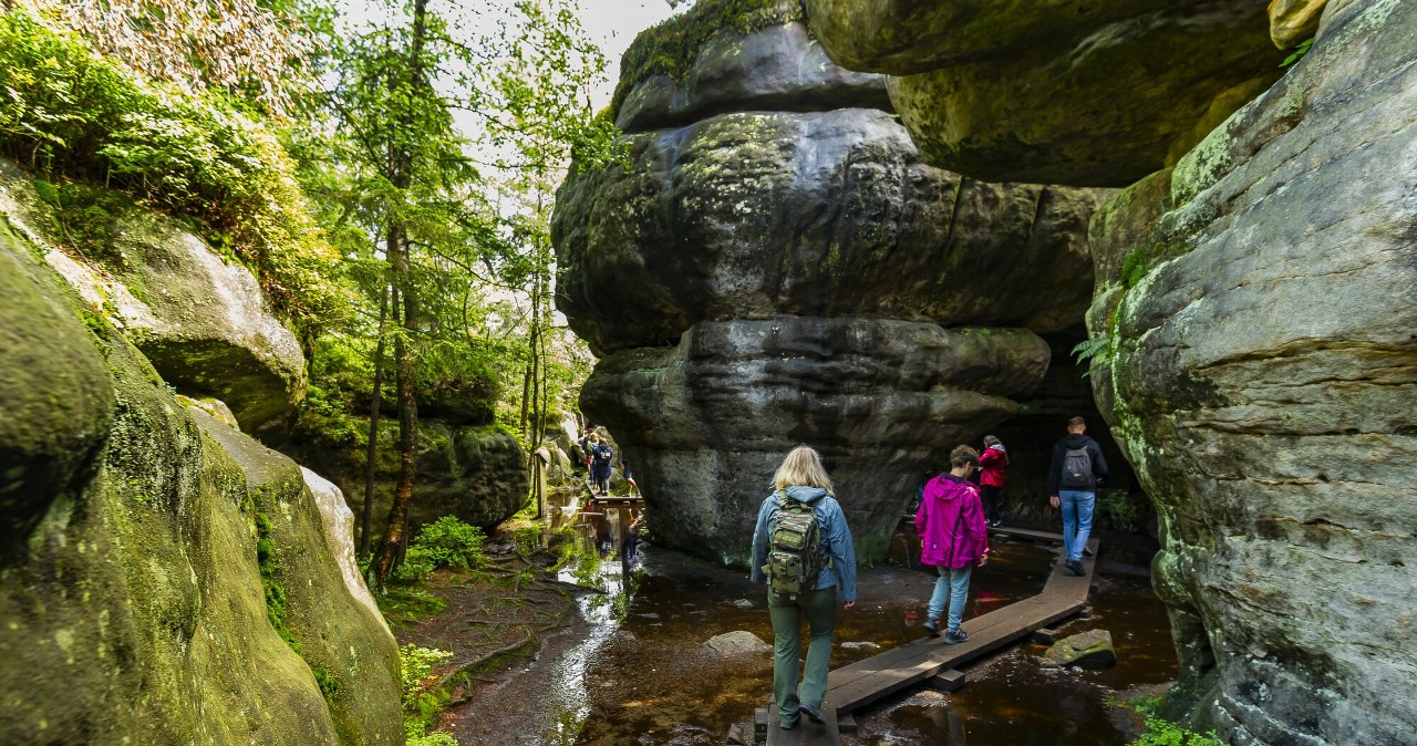 Na jeden z najpiękniejszych szlaków Gór Stołowych można wejść za darmo /Stanisław Bielski/Reporter /East News