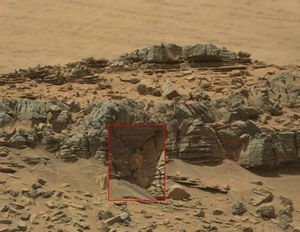 Na jednym ze zdjęć Marsa uwieczniono coś co wygląda na... kraba
