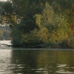 Na jeziorze Miedwie przewróciła się łódź, dwie osoby wpadły do wody