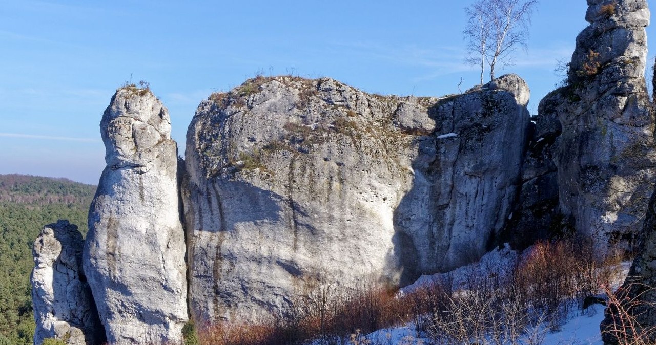 Na Jurze Krakowsko-Częstochowskiej można znaleźć ok. 1700 jaskiń /Jakub Hałun /CC BY-SA 4.0