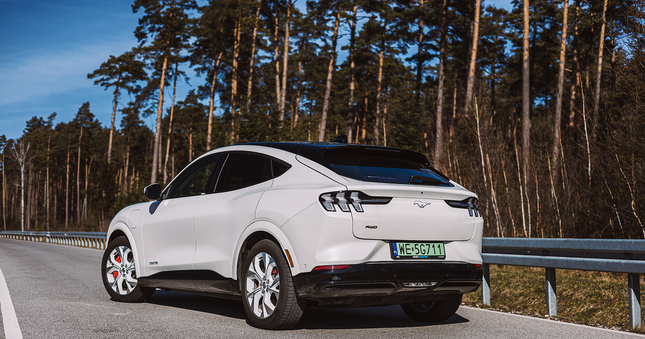 Na każdym samochodzie elektrycznym Ford ma tracić 100 tys. dolarów. /Karol Tynka /INTERIA.PL