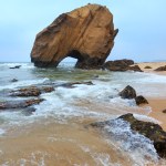 Na klifie ukrywał się tajemniczy skarb. To jaja sprzed 150 mln lat