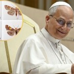 Na Krecie odkryto nowy gatunek ćmy. Nazwano ją na cześć papieża
