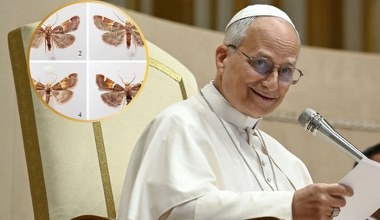 Na Krecie odkryto nowy gatunek ćmy. Nazwano ją na cześć papieża
