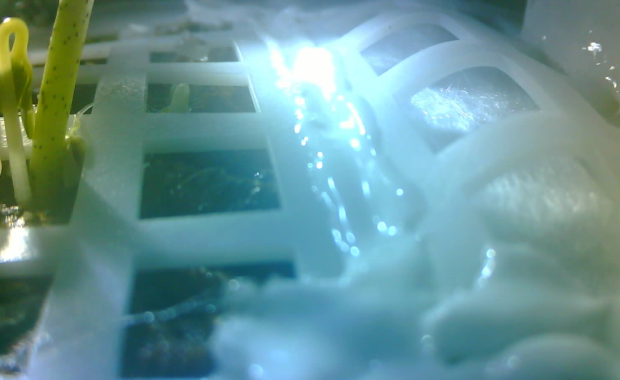 Na Księżycu rośnie bawełna...