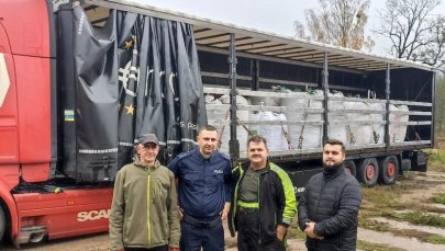 Na leczenie dla rocznej Marcelinki. Zebrali 30 ton kasztanów