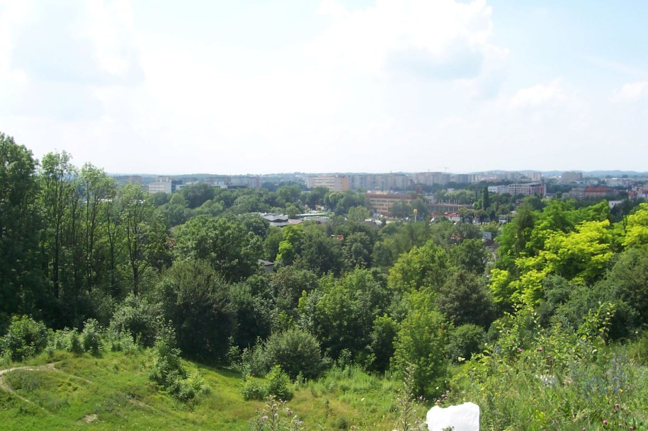 Na liście zakwalifikowanych planów znaczną część stanowią te dotyczące skwerów i parków. /Materiały prasowe