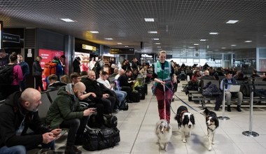 Na lotnisku - wielkie nerwy. Znaleźli na to nieoczekiwany sposób