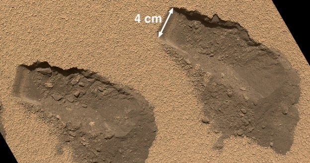 Na Marsie możemy odnaleźć organizmy pochodzenia ziemskiego /NASA