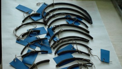 Na Mazurach odkryto niezwykły skarb sprzed 2,5 tys. lat