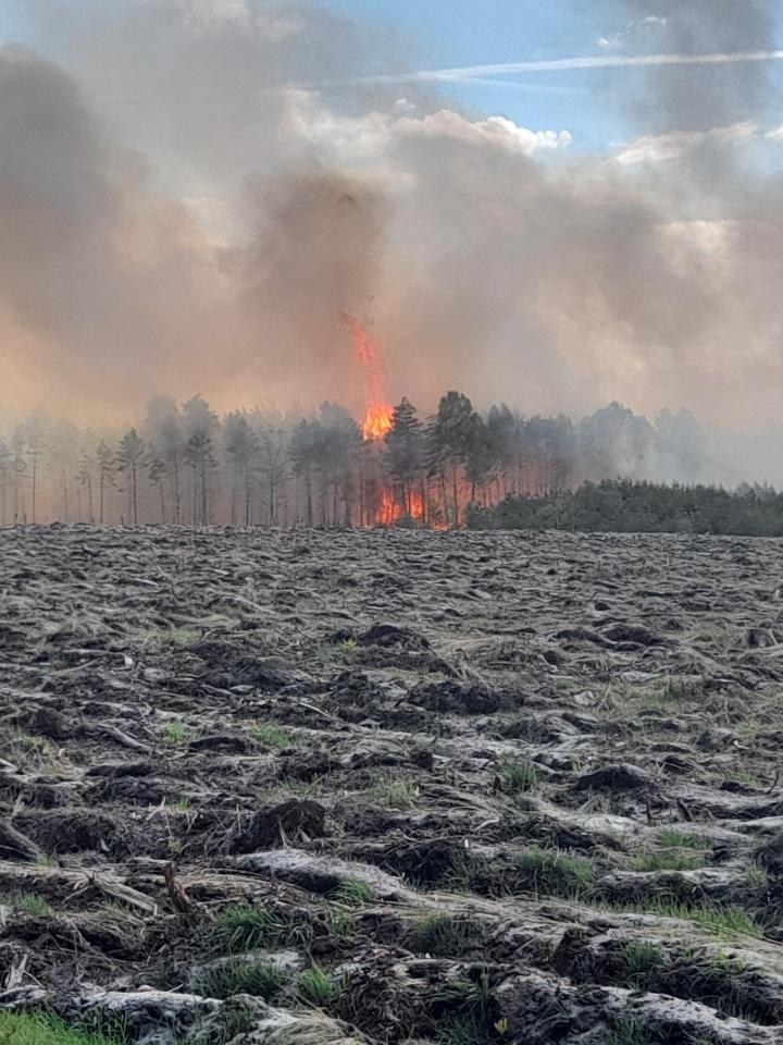Na miejscu panuje duże zadymienie. Z ogniem strażacy walczą m.in. za pomocą śmigłowca. /Marek Mróz, rzecznik prasowy Regionalnej Dyrekcji Lasów Państwowych w Katowicach /