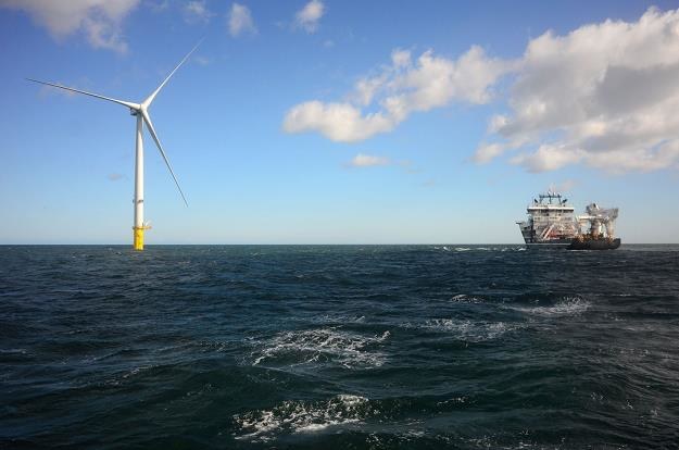 Na Morzu Północnym Belgia chce stawiać duże farmy wiatrowe /AFP
