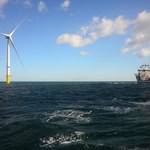 Na Morzu Północnym Belgia chce stawiać duże farmy wiatrowe