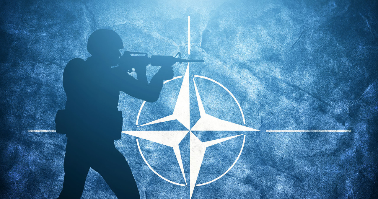 Na nadchodzącym szczycie NATO cyberprzestrzeń może zostać oficjalnie zakwalifikowana jako piąty obszar działań wojennych /123RF/PICSEL