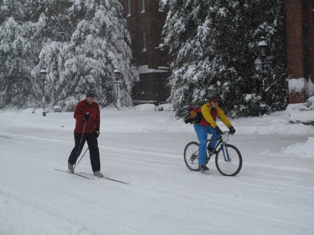 Na nartach i na rowerze w parku przed Kapitolem &nbsp; /Paweł Żuchowski /RMF FM