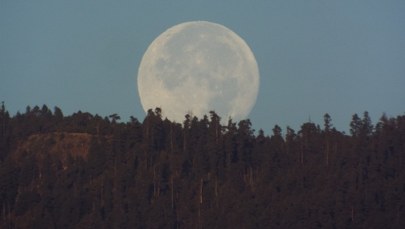 Na niebie będą dwa Księżyce. Sensacyjne doniesienia astronomów