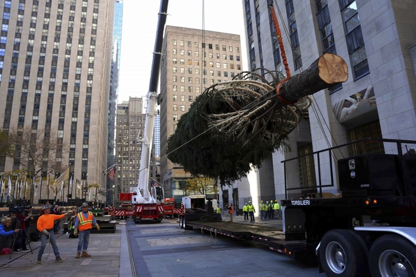 Na nowojorski Manhattan przetransportowano 24-metrowy świerk /Associated Press /East News