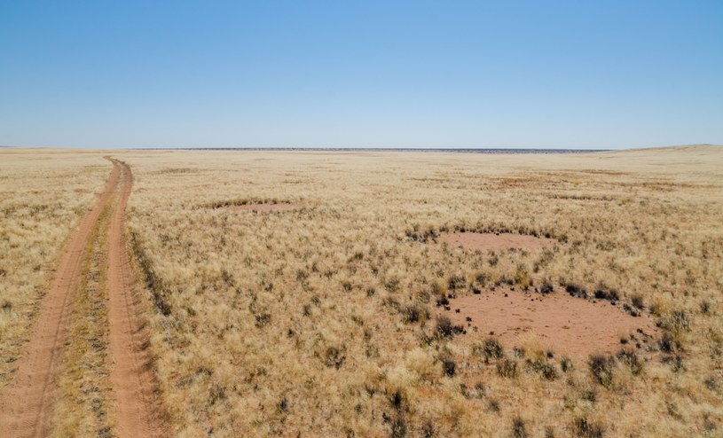 Na obszarze Namibii kręgi wróżek ciągną się kilometrami /123RF/PICSEL