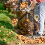 Na osiedlach w Polsce to już plaga. Tak robimy przyrodzie podwójną krzywdę