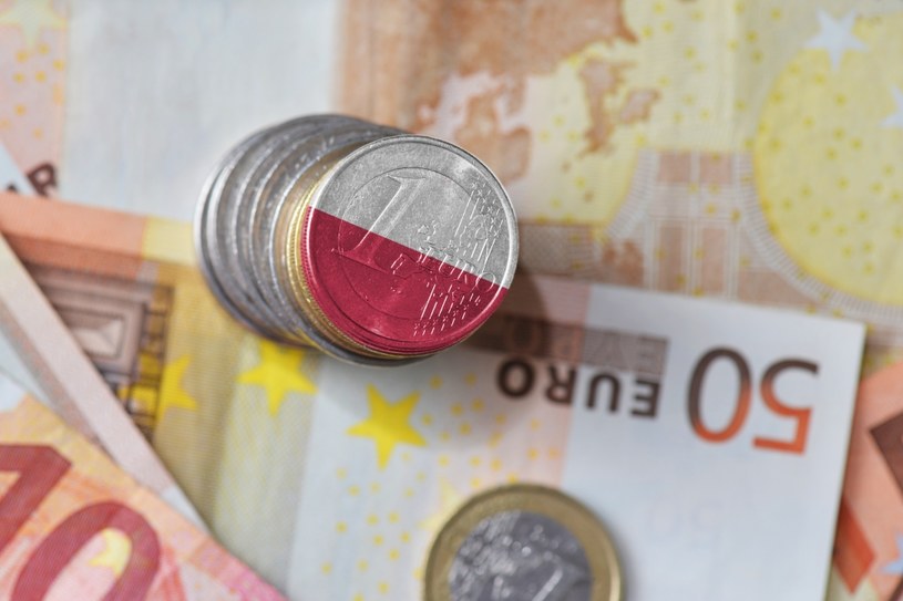 Na płace w euro jeszcze poczekamy. Ale czy warto na to czekać? /123RF/PICSEL
