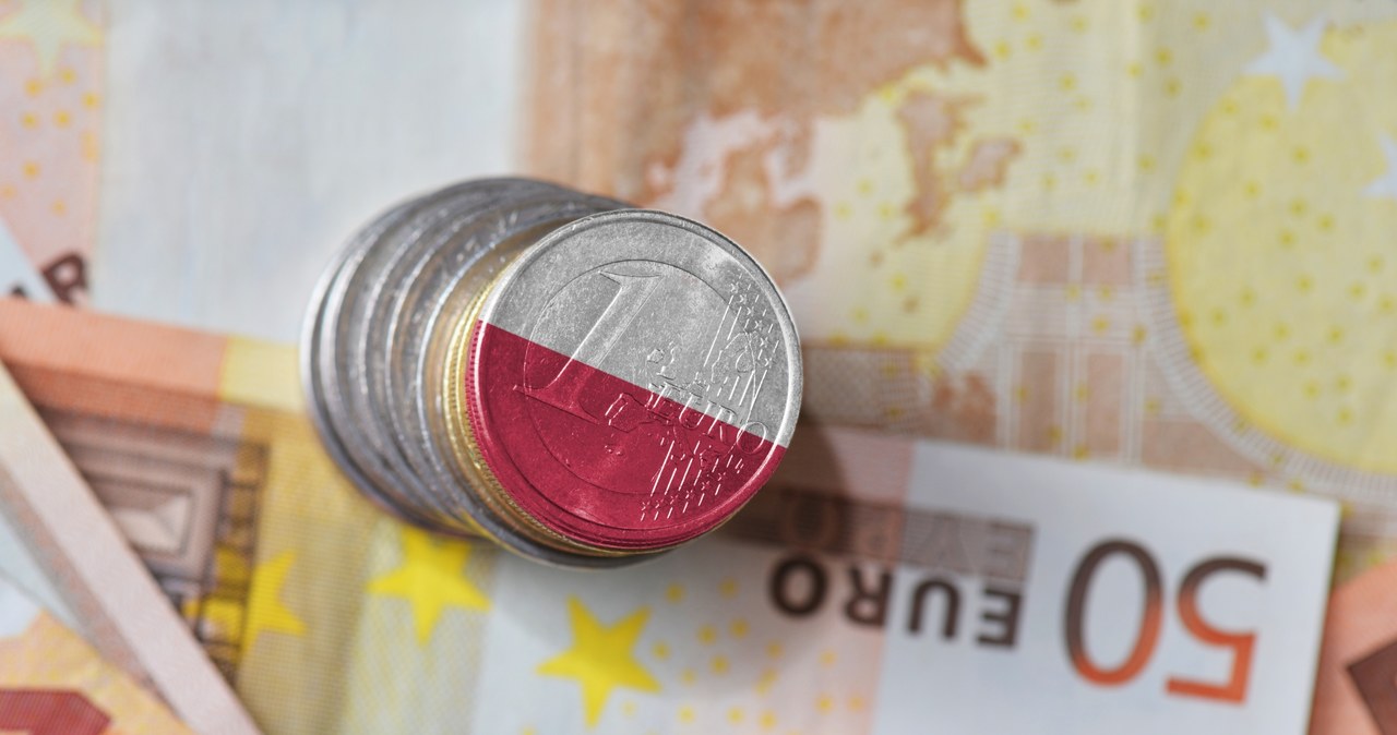 Na płace w euro jeszcze poczekamy. Ale czy warto na to czekać? /123RF/PICSEL