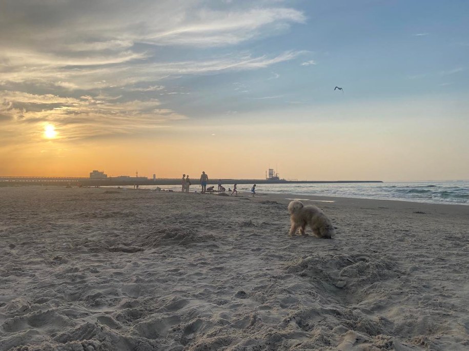 Na plażę przy gazoporcie autobusem można dojechać tylko do końca września. /Aneta Łuczkowska /RMF FM - reporter