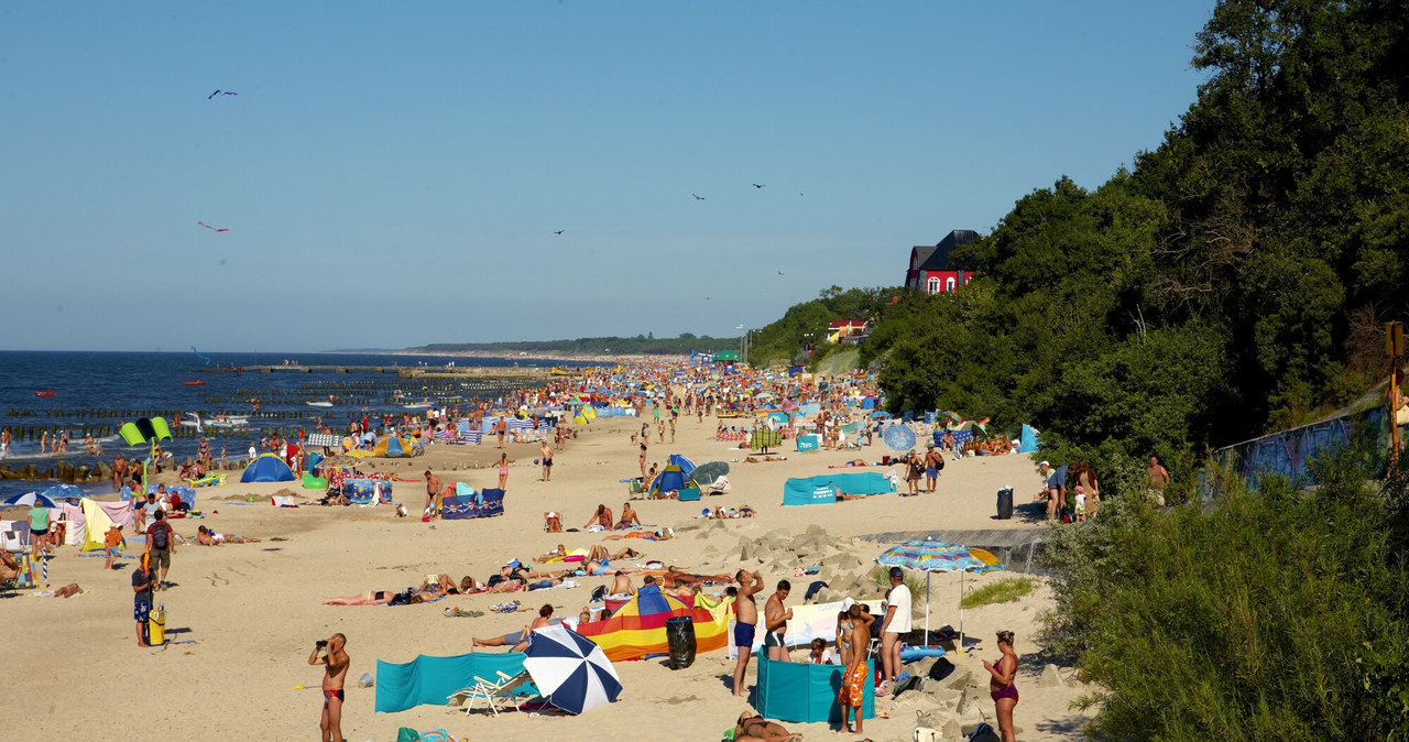 Na plaży, w pracy czy w domu - zawsze miej przy sobie wodę /East News