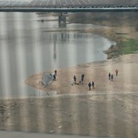 Wieloryb na plaży w Warszawie 