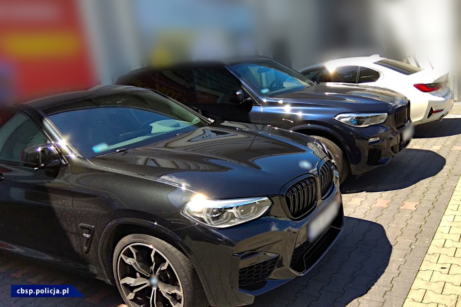 Na poczet przyszłych kar zabezpieczono siedem luksusowych aut /CBŚP