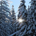 Na Podhalu mimo halnego i odwilży można jeszcze pojeździć na nartach