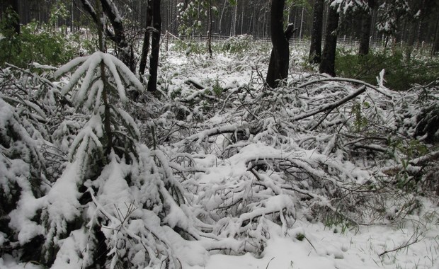 Na Podhalu sypnęło śniegiem, w górach mróz