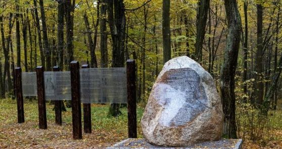 Na Podkarpaciu powstał nowy rezerwat przyrody /Nadleśnictwo Sieniawa /materiał zewnętrzny