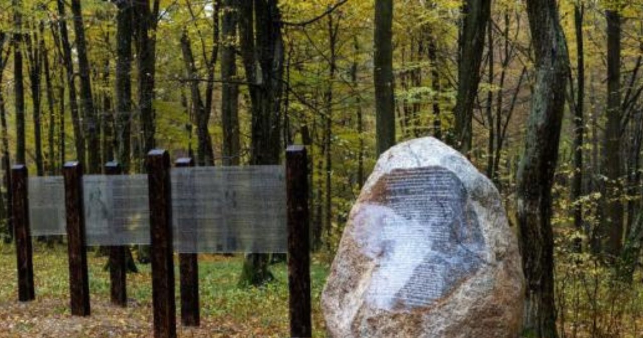 Na Podkarpaciu powstał nowy rezerwat przyrody /Nadleśnictwo Sieniawa /materiał zewnętrzny