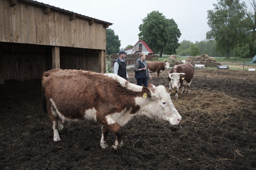 Rolnicy Podlasie Co Się Stanie W Kolejnym Odcinku Kobieta W Interiapl 0869