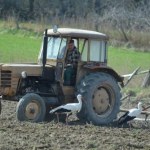"Na polach są już bociany!"