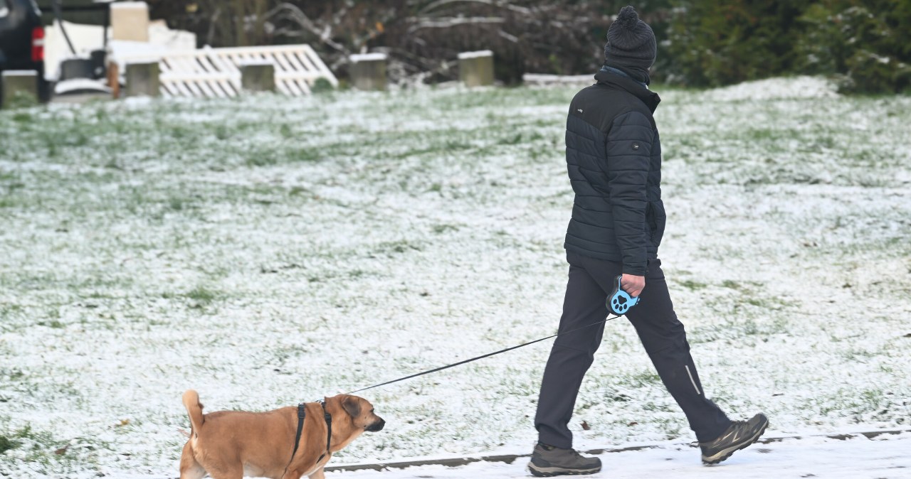 Na północy Polski w wielu miejscach popada deszcz i deszcz ze śniegiem. Więcej przejaśnień synoptycy spodziewają się na południu kraju /Wojciech Strozyk/REPORTER /