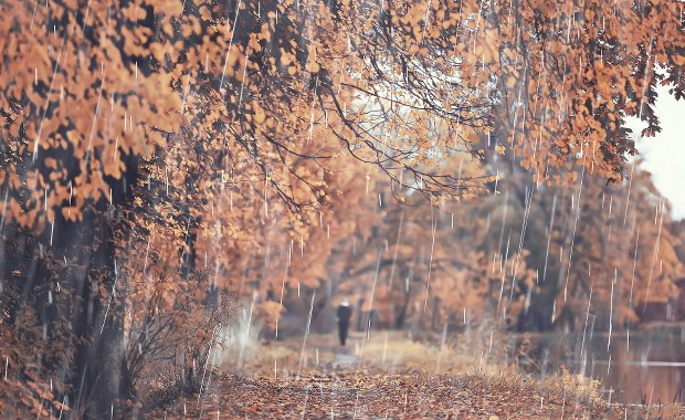 Na północy śnieg, na południu nawet 20 stopni. Polska podzielona na dwie części