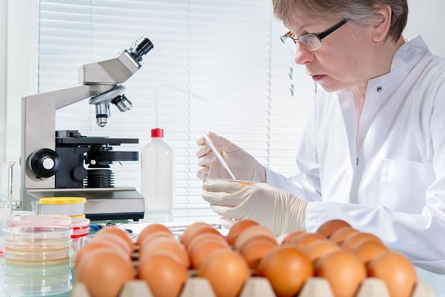 Na polskim rynku nie ma jaj zakażonych salmonellą /&copy;123RF/PICSEL