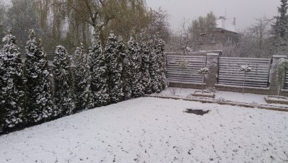 Na Pomorzu sypnęło śniegiem [ZDJĘCIA]