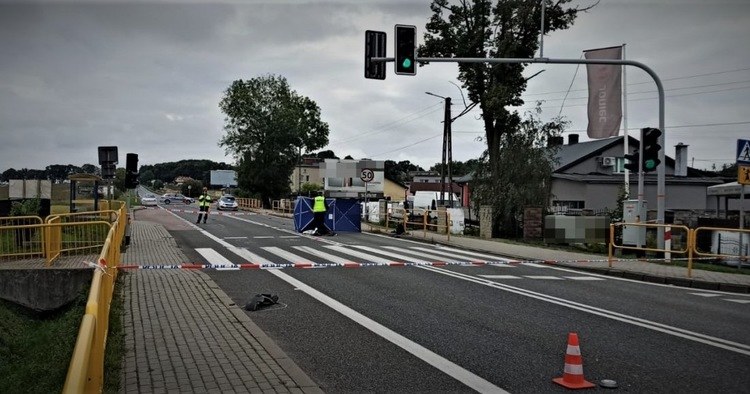 Na przejściu działała sygnalizacja świetlna /Policja