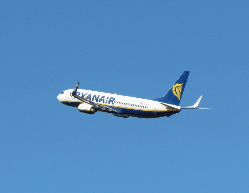 Na przełomie czerwca i lipca odbędzie się strajk pracowników obsługi pokładowej linii lotniczych Ryanair w Hiszpanii /123RF/PICSEL