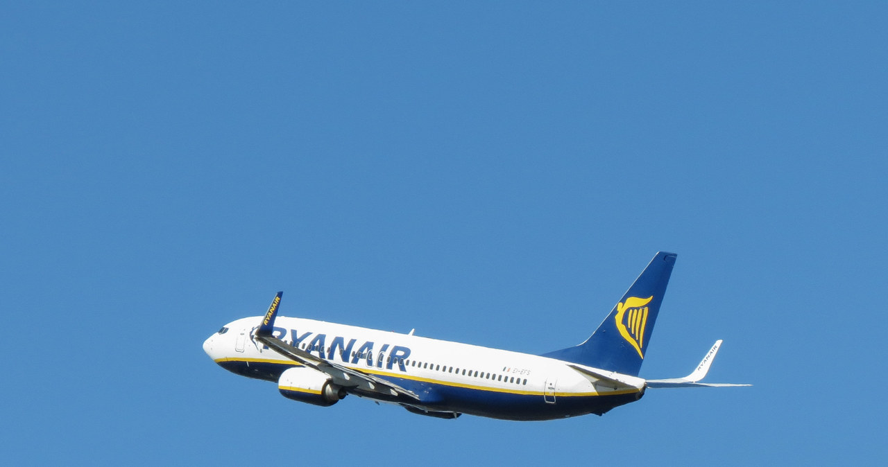 Na przełomie czerwca i lipca odbędzie się strajk pracowników obsługi pokładowej linii lotniczych Ryanair w Hiszpanii /123RF/PICSEL
