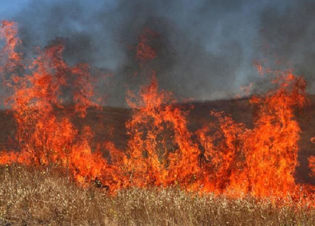 Na przełomie wiosny i zimy liczba pożarów traw rośnie lawinowo /AFP
