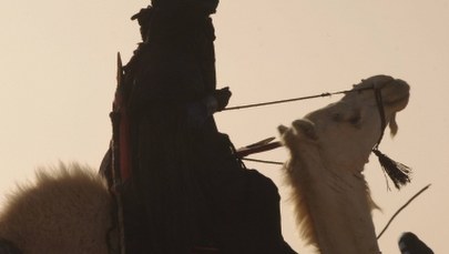 Na pustyni znaleziono ciała 34 imigrantów, w tym 20 dzieci. Porzucili ich przemytnicy