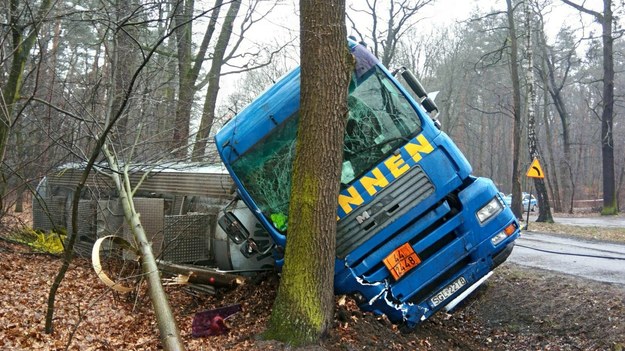 Na razie nie wiadomo, dlaczego ciężarówka wjechała do rowu, fot redakcja Racibórz 112 /Gorąca Linia RMF FM
