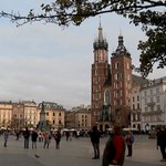 Na Rynek Główny w Krakowie wracają drzewa