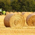 Na rynku gruntów rolnych rozmiar ma znaczenie