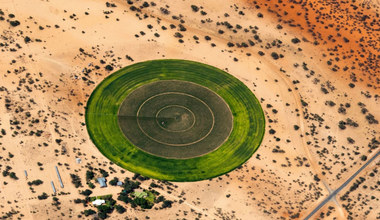 Na Saharze pojawiły się nietypowe kręgi - skąd się wzięły i co to jest? 